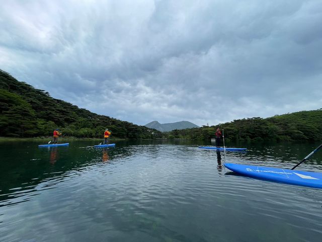 �A�E�g�h�A�X�e�[�V�������т�