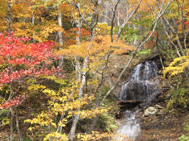 ����ɂ���u���̑�v_Camp Grand Bear Bell