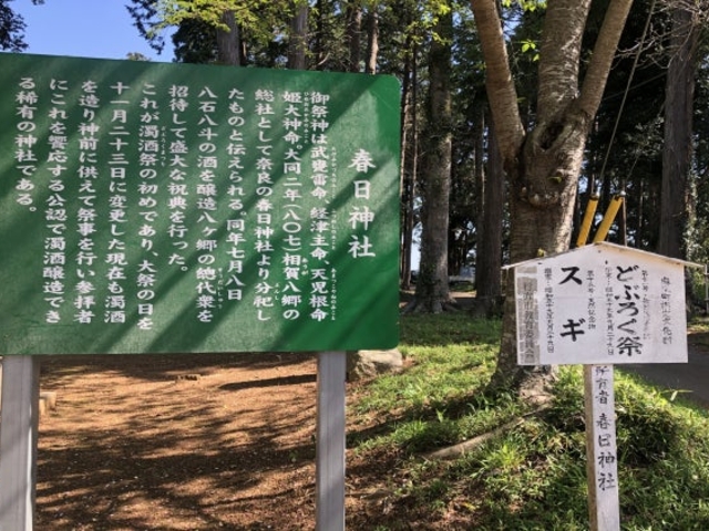 �t���_��