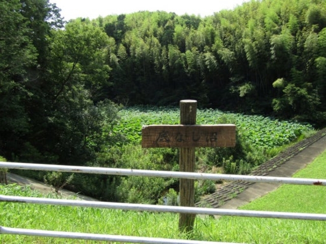 ����s������^�������̑��n�X�̎ʐ^1