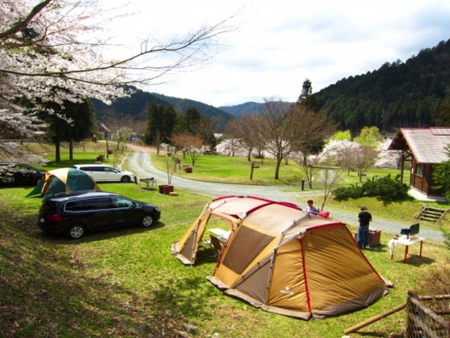 ���R���R�������@�L�����v��̎ʐ^1