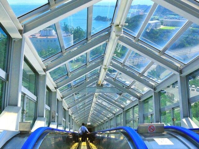 �G�X�J�q���E��̎ʐ^1