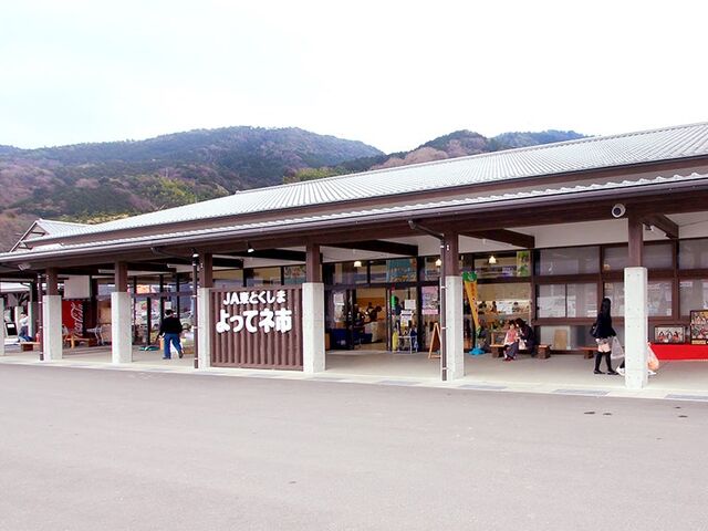 �i�`����ăl�s�̎ʐ^1