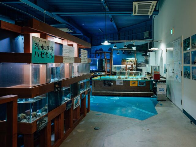 ���̂������Ȑ����فi�}�����W�������j�̎ʐ^1