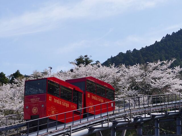 �p�F�R�X���[�v�J�[�̎ʐ^1