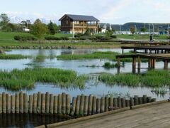 ���V�������̎ʐ^1