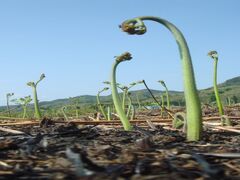 �����탏���r���̎ʐ^