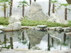 ������������[���A������̂�]�̎ʐ^1