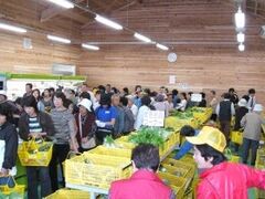 �i�`�����s�Ȃ��Ƃ��s��̎ʐ^1