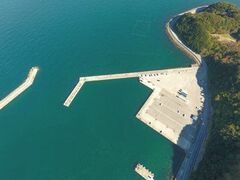 �T�Y�ό��`�i�ނ�j�̎ʐ^