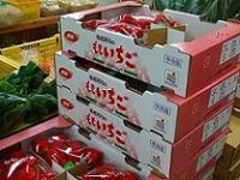 JAふるさと農産物直売所の写真1