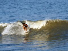 �T�[�t�B���{�f�B�{�[�h�i�C�z���j�̎ʐ^