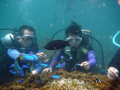 �X�L���[�o�[�_�C�r���O�i�C�z���j�̎ʐ^