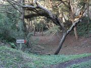 �{��R��Ղ̎ʐ^1