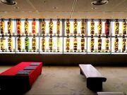 ���g���ǂ��ق̎ʐ^4