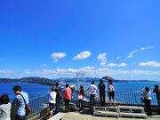 �G�X�J�q���E��̎ʐ^3