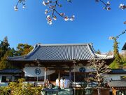 ��7�ԎD���@�\�y���̎ʐ^2