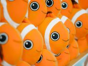 ���̂������Ȑ����فi�}�����W�������j�̎ʐ^3