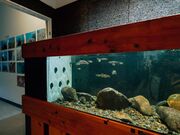 ���̂������Ȑ����فi�}�����W�������j�̎ʐ^4