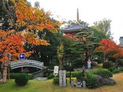 ��6�ԎD���@���y���̎ʐ^2