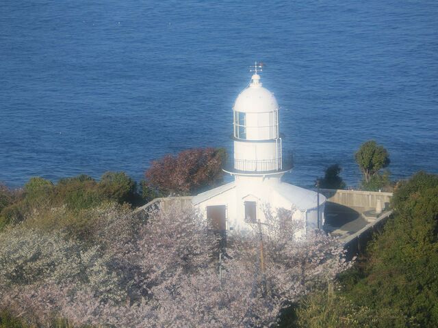 �֍铔��̎ʐ^1