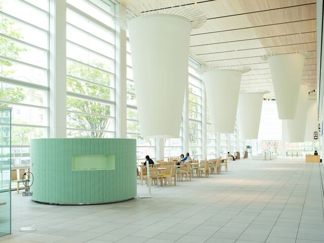 �啪�������p�فiOPAM�j