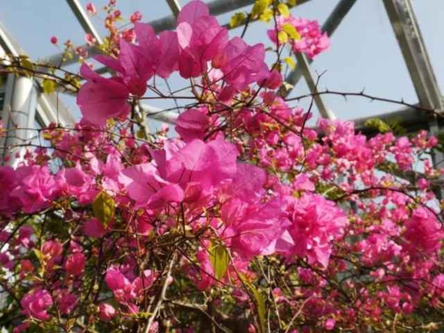 ����A������