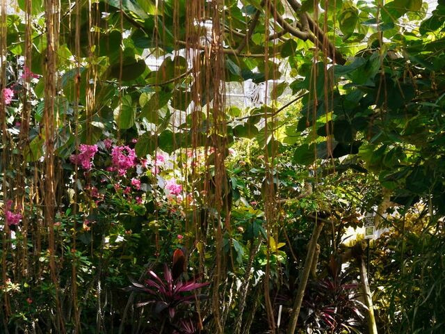 ����A������