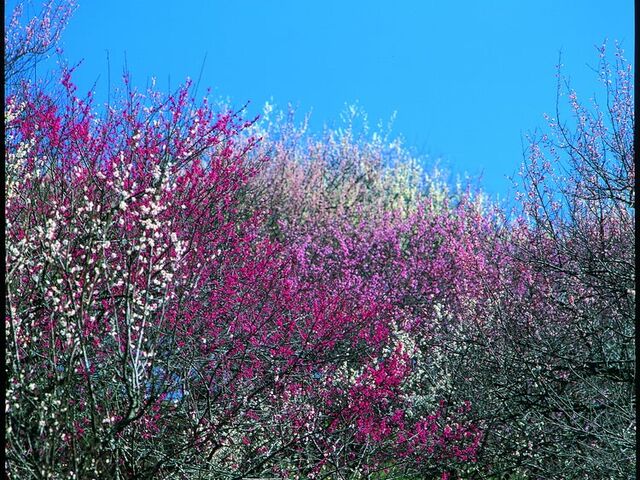 �g��~���̎ʐ^1