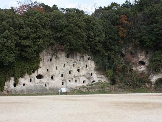 ����S�������Õ��Q�̎ʐ^1