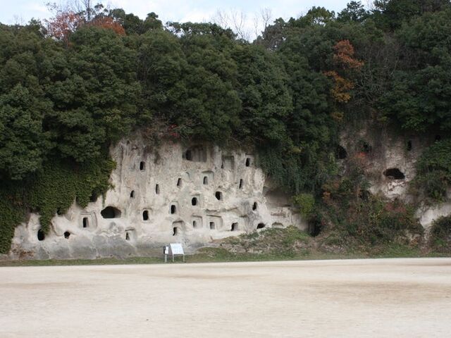 ����S�������Õ��Q�̎ʐ^1