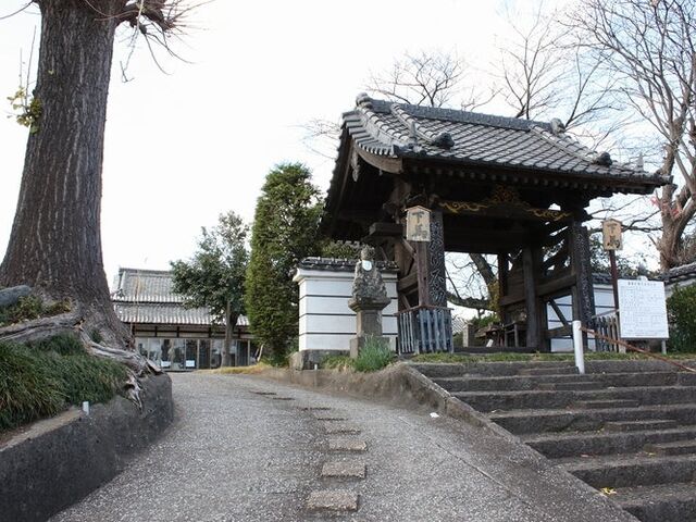 ��b�R�V��@�~�����̎ʐ^1