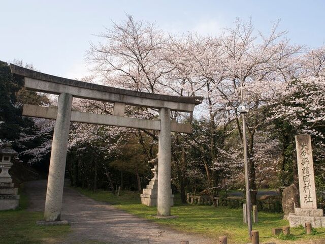 �썑�_�Ђ̎ʐ^1