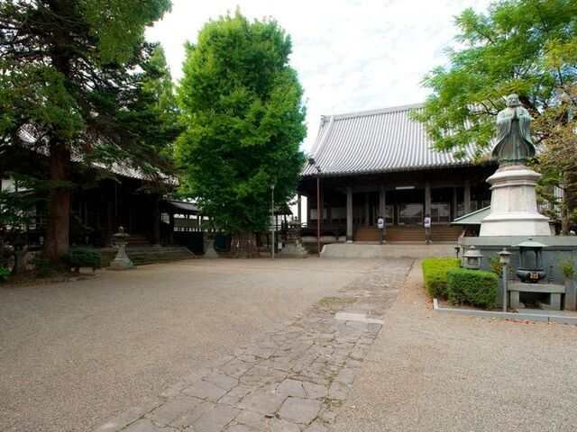 �@�S���E��K�v���̓��̎ʐ^1