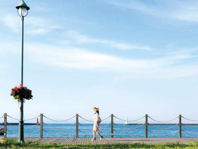 ���񂽂�`��