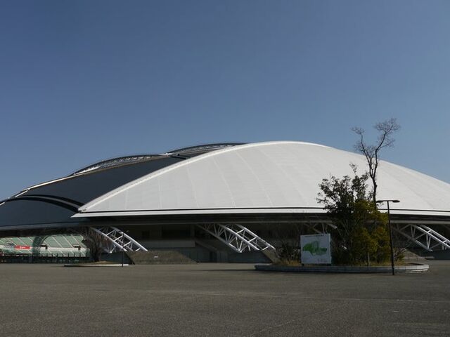 �啪�X�|�[�c�����i�N���T�X�h�[���啪�j�̎ʐ^1