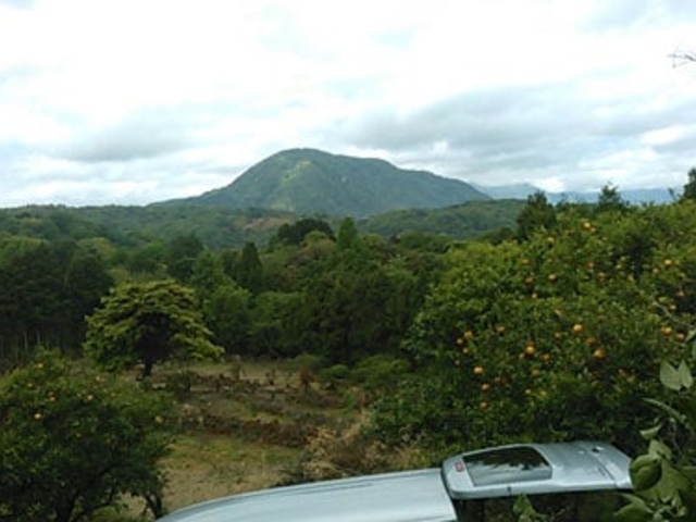 �\�t�B�b�R�����h�̎ʐ^1