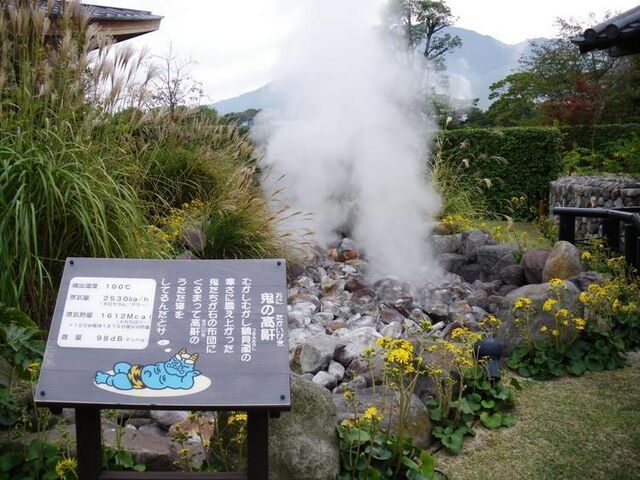 �S�ΖV��n��