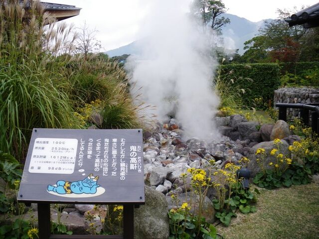 �S�ΖV��n��