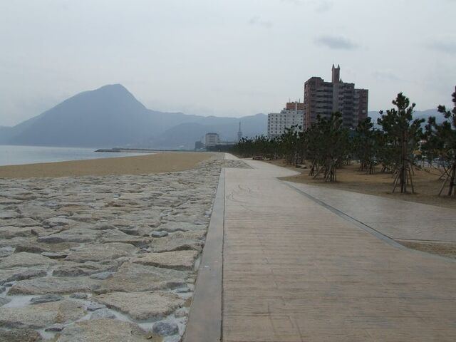 �݃��l�C�l�����̎ʐ^1