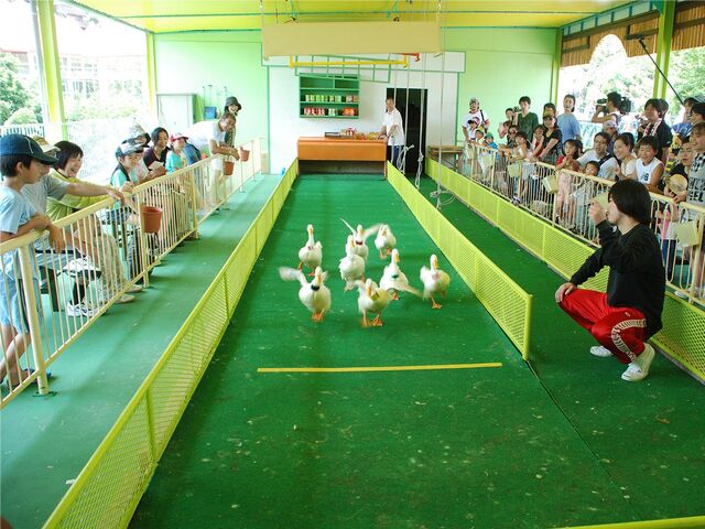 ���N�e���`