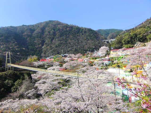 ���N�e���`