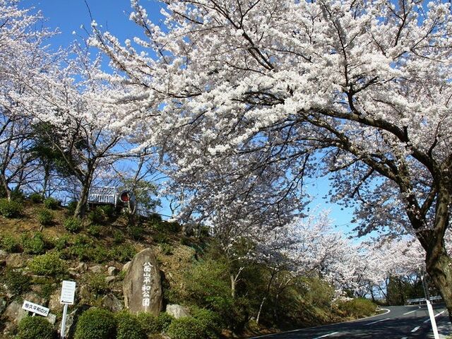 ���ʎR�̎ʐ^1