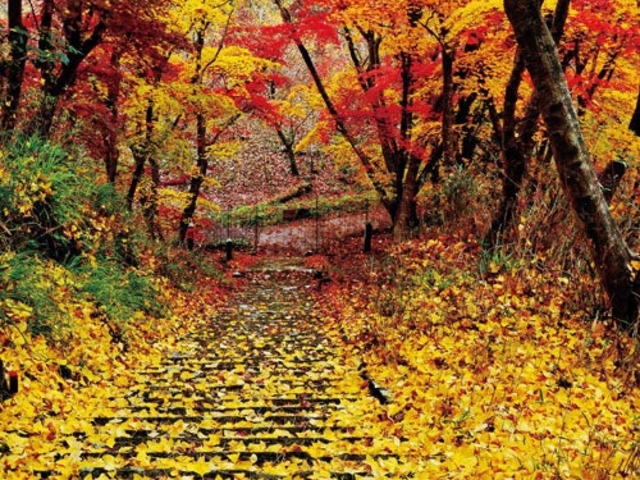 �����݂��̎ʐ^1