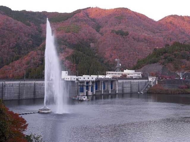 ��n��_��