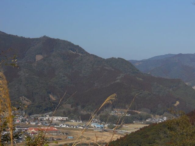 �̖���R�R���̎ʐ^1