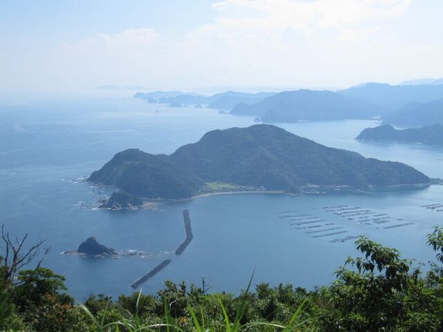 �w���R�̎ʐ^1