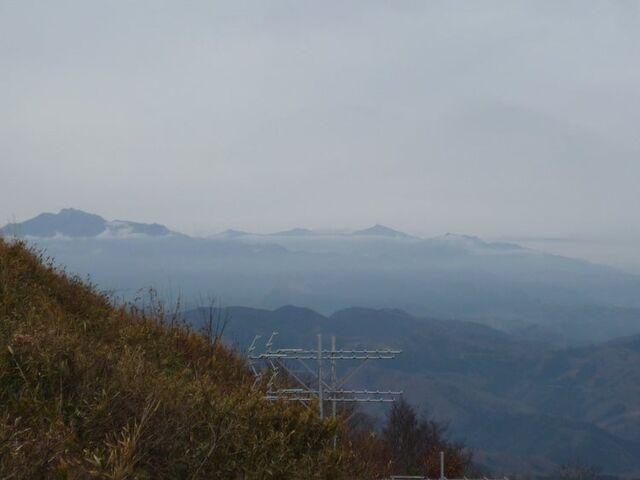 �͂��|�R�̎ʐ^1