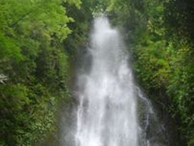 ���̑�̎ʐ^1