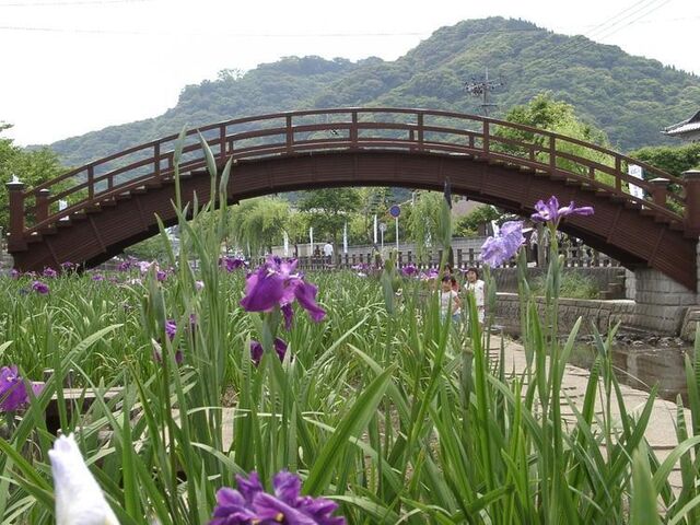 �P�ؐ�Ҋ����̎ʐ^1